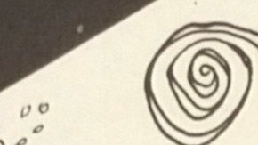 Photo courtesy Sabor y Ritmo Antillano