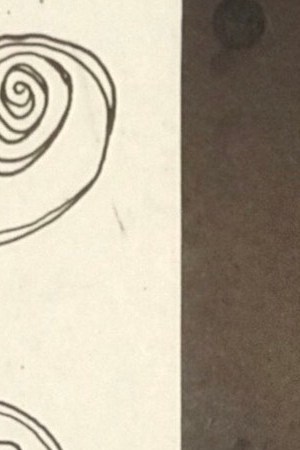 Photo courtesy Sabor y Ritmo Antillano