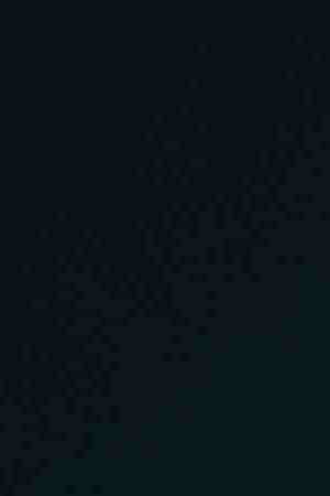 Photo courtesy of Rimas Music