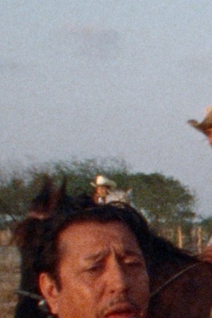 Courtesy of Argot Pictures