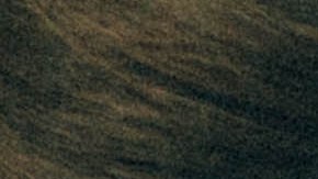 Courtesy of Proyecto M.A.