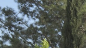 Photo by Prashant Gupta. Courtesy of FX