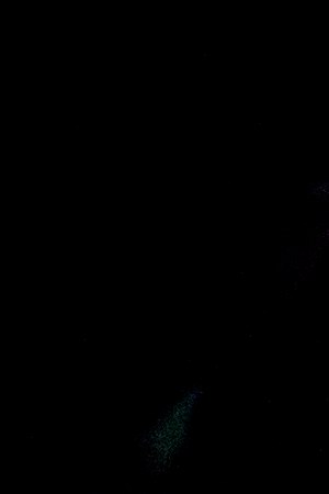 Part of the Ara series. Photo by Mayeli Villalba. Courtesy of Ruda