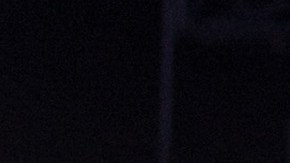 Fans at the "Selena for Sanctuary" concert held at New York City’s SummerStage in Central Park. Photo by Roy Baizan for Remezcla