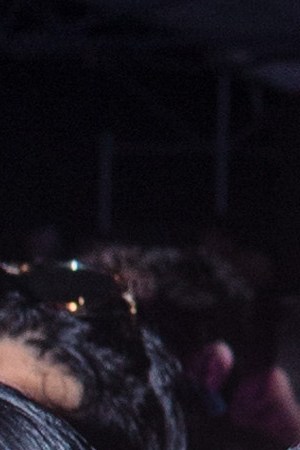 Fans at the "Selena for Sanctuary" concert held at New York City’s SummerStage in Central Park. Photo by Roy Baizan for Remezcla