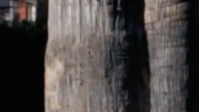 Screenshot of 'Cuban Missile Crisis' courtesy of Eddie Mujica