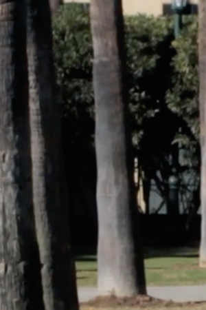 Screenshot of 'Cuban Missile Crisis' courtesy of Eddie Mujica