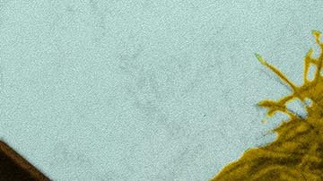 'Carrascolendas' still courtesy of The University of Texas at Austin/Voces Oral History Project