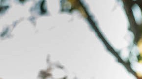 Michael Peña, Isabela Moner and Eva Longoria in 'Dora and the Lost City of Gold.' Courtesy of Paramount Pictures.