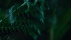 Nicholas Coombe, Jeff Wahlberg, Isabela Moner and Madeleine Madden in 'Dora and the Lost City of Gold.' Courtesy of Paramount Pictures