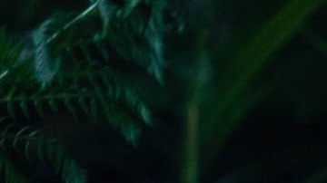 Nicholas Coombe, Jeff Wahlberg, Isabela Moner and Madeleine Madden in 'Dora and the Lost City of Gold.' Courtesy of Paramount Pictures