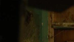 Photo by Charelfilms for Remezcla