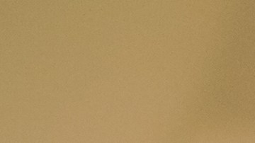 Photo courtesy the artists