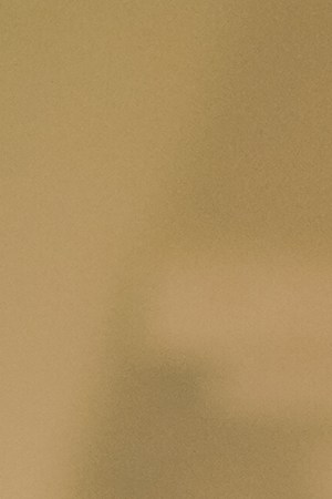 Photo courtesy the artists