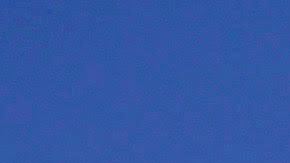 Photo courtesy of the artists