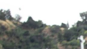 Photo by Alexis Moya