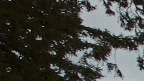 Photo by Lance Dawes, courtesy of the artist