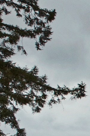 Photo by Lance Dawes, courtesy of the artist