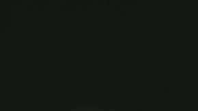 Photo courtesy of Perreo Millenial