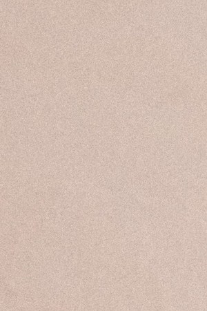 Photo by Mara Corsino