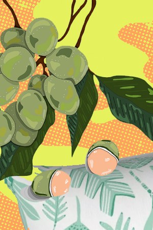 Art by Alan López for Remezcla