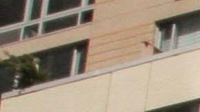 Guardians of the Forest at the Climate Strike in New York City. Photo by Itzel Alejandra Martinez for Remezcla