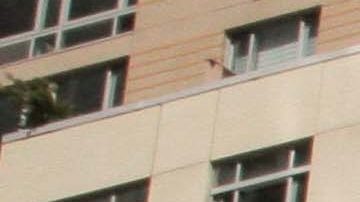 Guardians of the Forest at the Climate Strike in New York City. Photo by Itzel Alejandra Martinez for Remezcla