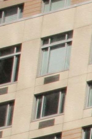 Guardians of the Forest at the Climate Strike in New York City. Photo by Itzel Alejandra Martinez for Remezcla