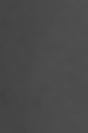 Photo by Laruen Dukoff