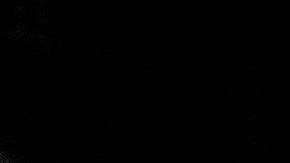 Photo courtesy of the artist