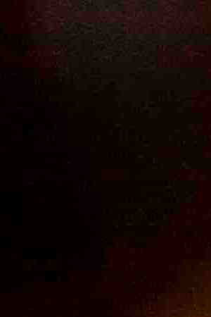 Photo by ©fitopardo.com / Moment