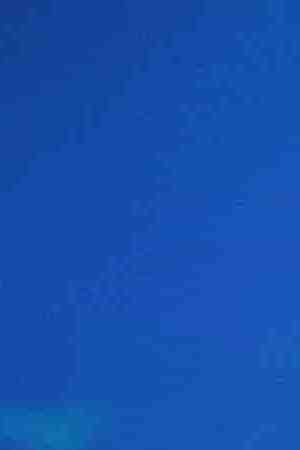 Senator Ted Cruz (R-TX) speaks to guests during the NRA-ILA Leadership Forum at the 148th NRA Annual Meetings & Exhibits on April 26, 2019 in Indianapolis, Indiana. Photo by Scott Olson/Getty Images