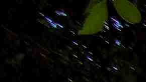 Sage Tello and Lily White (R) put up  protest sign outside the Metropolitan Detention Center prison is seen as mass arrests by federal immigration authorities, as ordered by the Trump administration, were supposed to begin in major cities across the nation on July 14, 2019 in Los Angeles, California. Photo by David McNew/Getty Images