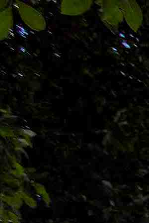 Sage Tello and Lily White (R) put up  protest sign outside the Metropolitan Detention Center prison is seen as mass arrests by federal immigration authorities, as ordered by the Trump administration, were supposed to begin in major cities across the nation on July 14, 2019 in Los Angeles, California. Photo by David McNew/Getty Images