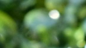 Barbie Ferreira attends the 2019 MTV Movie and TV Awards at Barker Hangar on June 15, 2019 in Santa Monica, California. Photo by Emma McIntyre/Getty Images for MTV