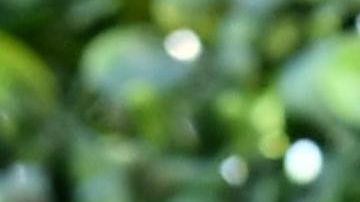 Barbie Ferreira attends the 2019 MTV Movie and TV Awards at Barker Hangar on June 15, 2019 in Santa Monica, California. Photo by Emma McIntyre/Getty Images for MTV