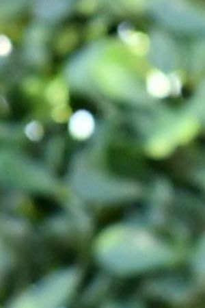 Barbie Ferreira attends the 2019 MTV Movie and TV Awards at Barker Hangar on June 15, 2019 in Santa Monica, California. Photo by Emma McIntyre/Getty Images for MTV