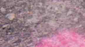 A chalk message at a memorial for victims of a mass shooting, at the University of Texas of the Permian Basin (UTPB) on September 2, 2019 in Odessa, Texas. Photo by Cengiz Yar/Getty Images