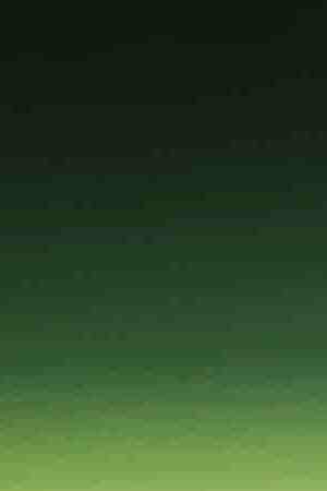 U.S. President Donald Trump speaks to the media before departing from the White House on September 16, 2019 in Washington, DC. Photo by Mark Wilson/Getty Images