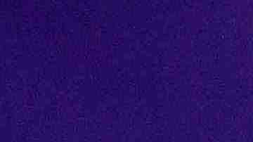 Jennifer Lopez attends STX Entertainment's 'Hustlers' Photo Call at Four Seasons Los Angeles at Beverly Hills on August 25, 2019 in Los Angeles, California. Photo by Matt Winkelmeyer/Getty Images