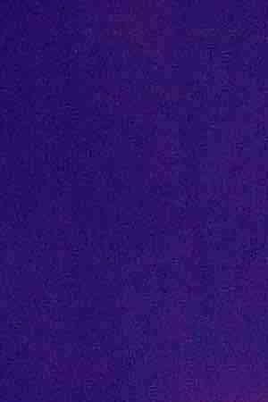 Jennifer Lopez attends STX Entertainment's 'Hustlers' Photo Call at Four Seasons Los Angeles at Beverly Hills on August 25, 2019 in Los Angeles, California. Photo by Matt Winkelmeyer/Getty Images