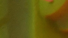 Bad Bunny performs onstage during the 2019 MTV Video Music Awards at Prudential Center (Photo by Noam Galai/Getty Images)