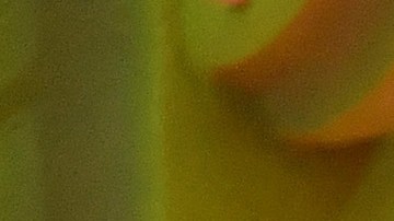 Bad Bunny performs onstage during the 2019 MTV Video Music Awards at Prudential Center (Photo by Noam Galai/Getty Images)