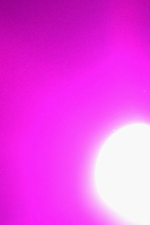 Singer Ivy Queen performs onstage during the Mega 97.9 Megaton Concert at Madison Square Garden  (Photo by Mike Coppola/Getty Images)