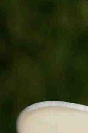 A group of Mexican-American Braceros chant for Los Angeles mayoral run-off candidate Antonio Villaraigosa following Mass at the Cathedral of Our Lady of the Angels on March 31, 2005 in Los Angeles, California. Photo by David McNew/Getty Images