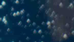 Photo by Esdelval / iStock / Getty Images Plus