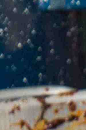 Photo by Esdelval / iStock / Getty Images Plus