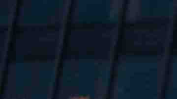 Photo by filo / iStock / Getty Images Plus