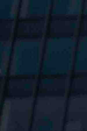 Photo by filo / iStock / Getty Images Plus