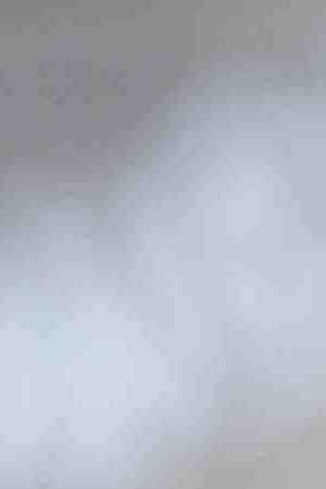 Photo by Uta Gleiser / EyeEm